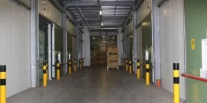 Zapasy jabłek w&nbsp;UE 2026. Włosi i&nbsp;Polacy na czele. Te odmiany dominują