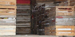 Ceny jabłek deserowych 2026 i&nbsp;sprzedaż – pod presją