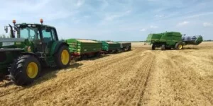 Ceny zbóż paszowych 2026. Różnice sięgają nawet 180 zł na tonie