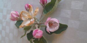 Co zrobić po przymrozkach? Pierwsze decyzje w&nbsp;sadzie po stratach 2026