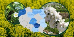 Suchy mróz zagrozi uprawom. Rolnicy mogą stracić plony