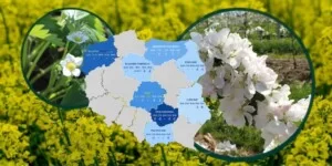 Suchy mróz zagrozi uprawom. Rolnicy mogą stracić plony