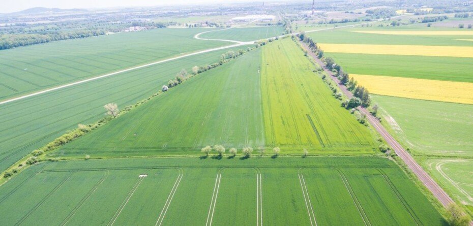 Jak ograniczyć straty azotu. CaTs w praktyce