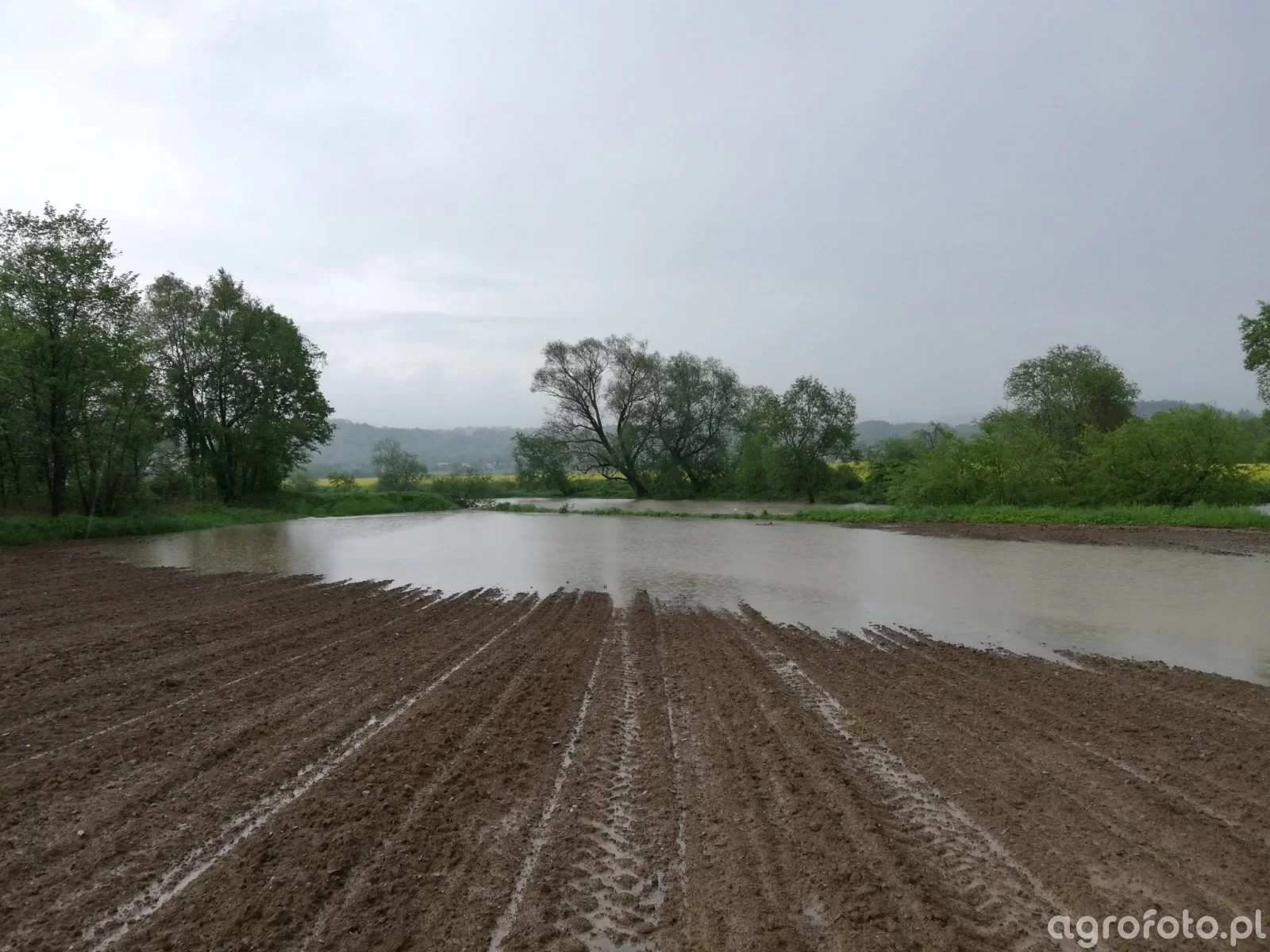 Siła wyższa ARiMR 2026. Agencja podaje w&nbsp;jakich przypadkach rolnicy mogą zgłosić siłę wyższą w&nbsp;kampanii wnioskowej 2026