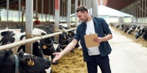 Premia dla młodych rolników 300 tys. zł. Jak nie stracić 100 tys.?