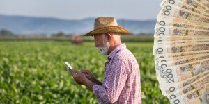 Dopłaty bezpośrednie 2025 – wypłaty sięgają 17,61 mld zł. Kto jeszcze czeka?