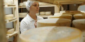 Dotacje na przetwórstwo 2026. Nawet 500 tys. zł dla rolników