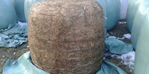 Usuwanie folii rolniczych bez dofinansowania. Koszt spada na rolnika