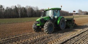 Pszenica jara termin siewu – ostatni dzwonek