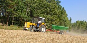 Czy będą dopłaty do wapnowania gleb 2026? Bez nich rolnicy stracą plony