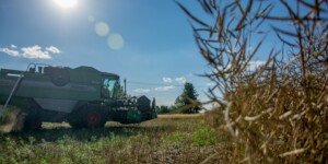 Ceny rzepaku rosną. Sprzedasz teraz czy poczekasz na wyższe ceny?