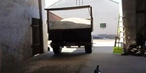 Rolnicy nadal trzymają zboże. KRIR chce interwencji państwa