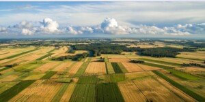 Nie tylko dopłaty dla rolników. UE szykuje nowy model pieniędzy dla wsi