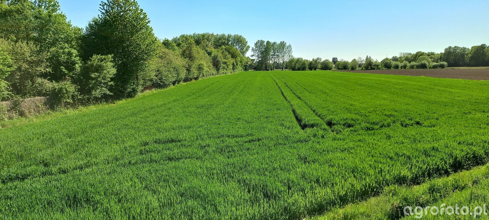 Premie dla młodych rolników 2026