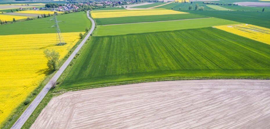„Rząd nie bierze głosu rolników pod uwagę”. Mocne słowa na 45-lecie NSZZ RI „Solidarność”