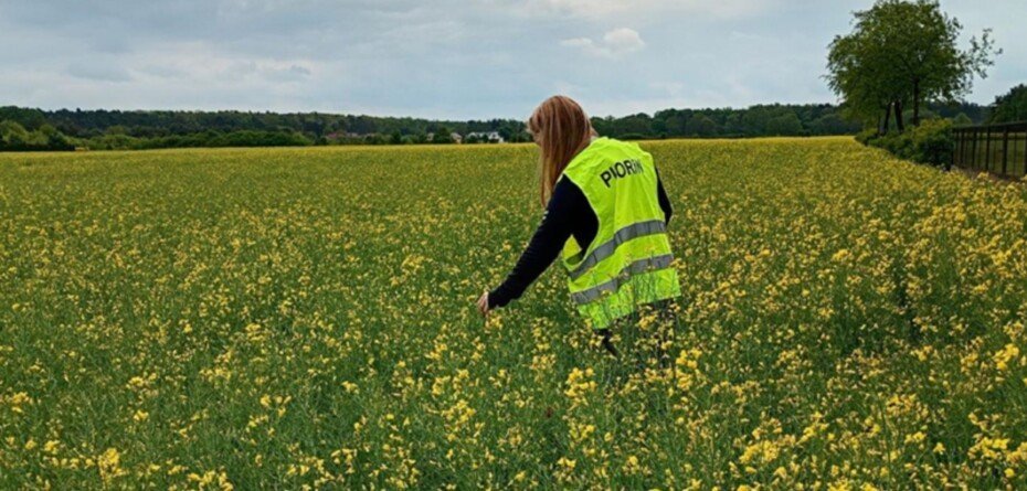 Kontrole PIORiN w gospodarstwach. Tych dokumentów może zażądać inspektor