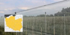 Sady w Polsce-siatki przeciwgradowe-ochrona przed gradem
