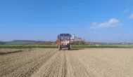 Ile kosztuje dzierżawa słabej ziemi