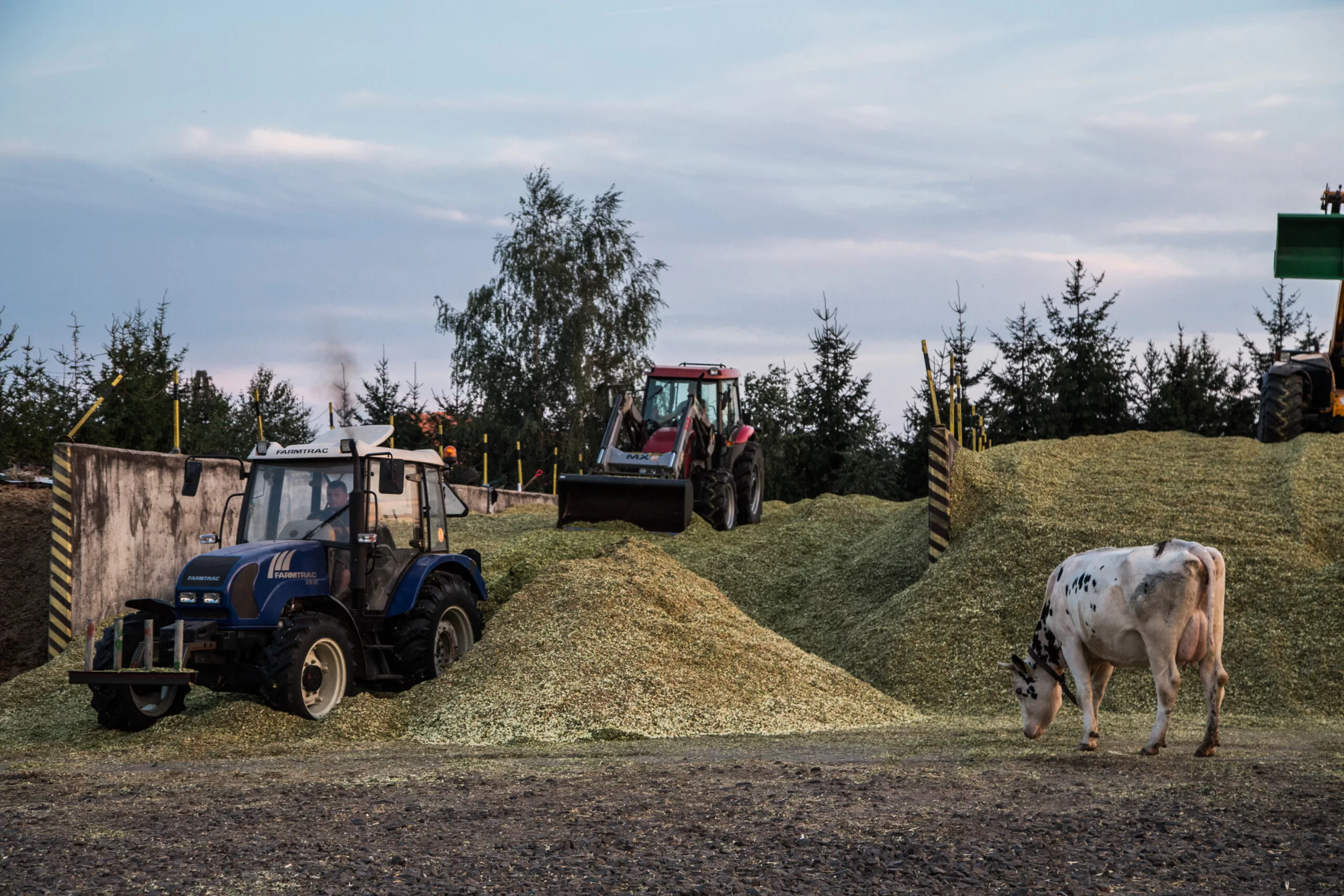 Kiedy będą dopłaty na koncie 2025