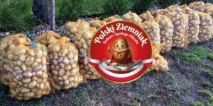 rolnik miażdży promocję ziemniaka-ziemniaki-Polski ziemniak bohater każdego obiadu