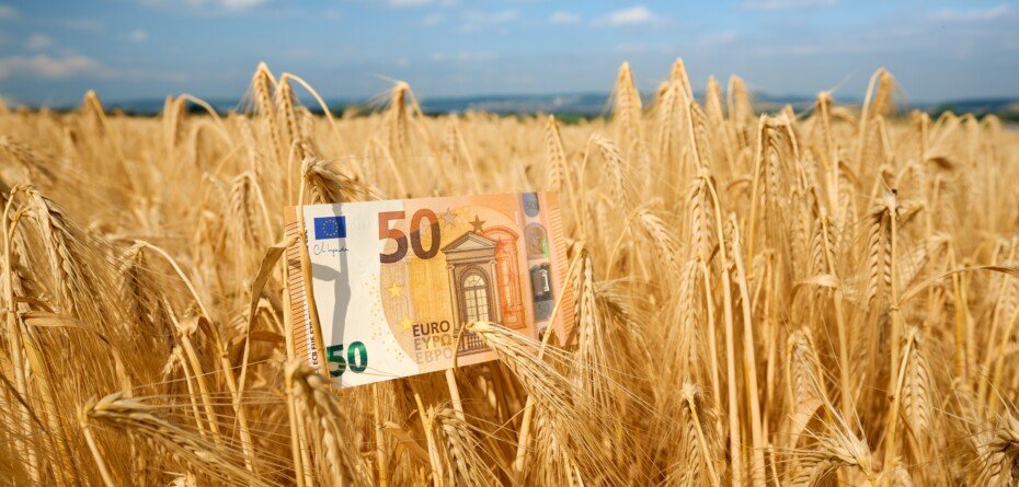 Fundusz Ochrony Rolnictwa: od lipca drugi termin na wniosek o rekompensatę