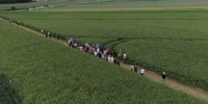 Agrii Demo w Siedlcu-Rolnicy podczas Agrii Demo 2026 w Siedlcu na Dolnym Śląsku oglądają odmiany rzepaku