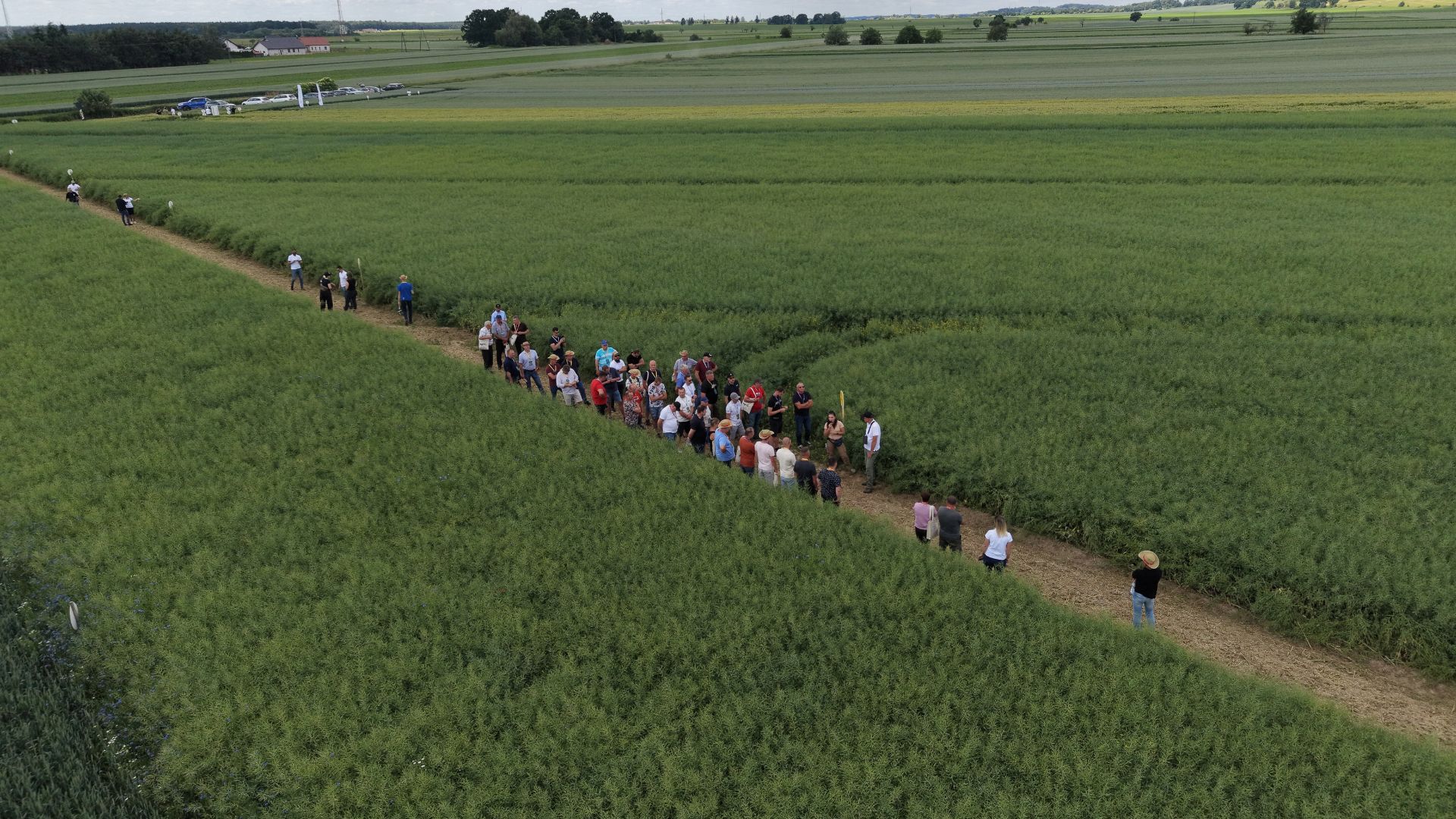 W tym sezonie mało co zaskakuje rolników pozytywnie. Na Agrii Demo w Siedlcu było inaczej