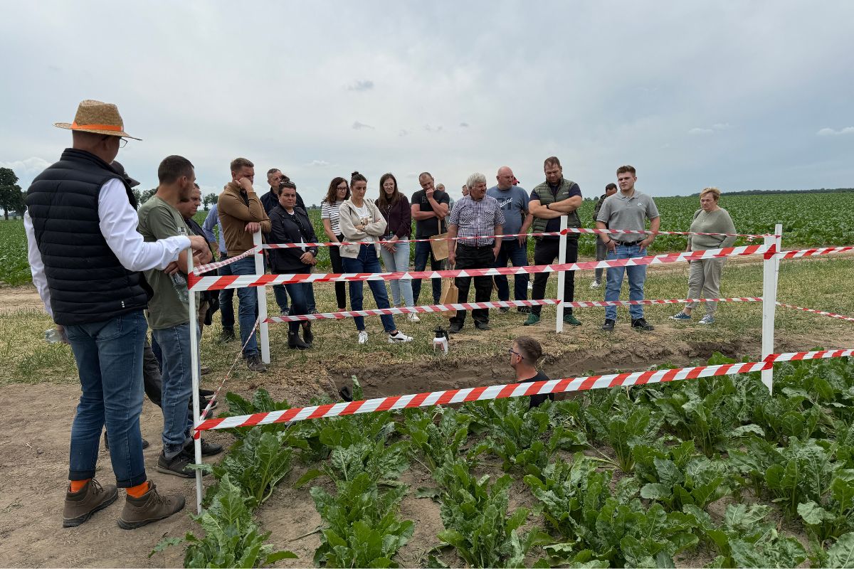 Odmiany odporne na suszę-prezentacja oceny struktury gleby podczas DemoFarmy KWS w Suchodębiu-Bartłomiej Glina w odkrywce glebowej
