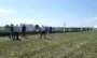 Dni Pola Bio-Gen i Procam