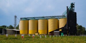 Gospodarstwo pod Zgorzelcem do wzięcia. Jaki czynsz za 250 ha