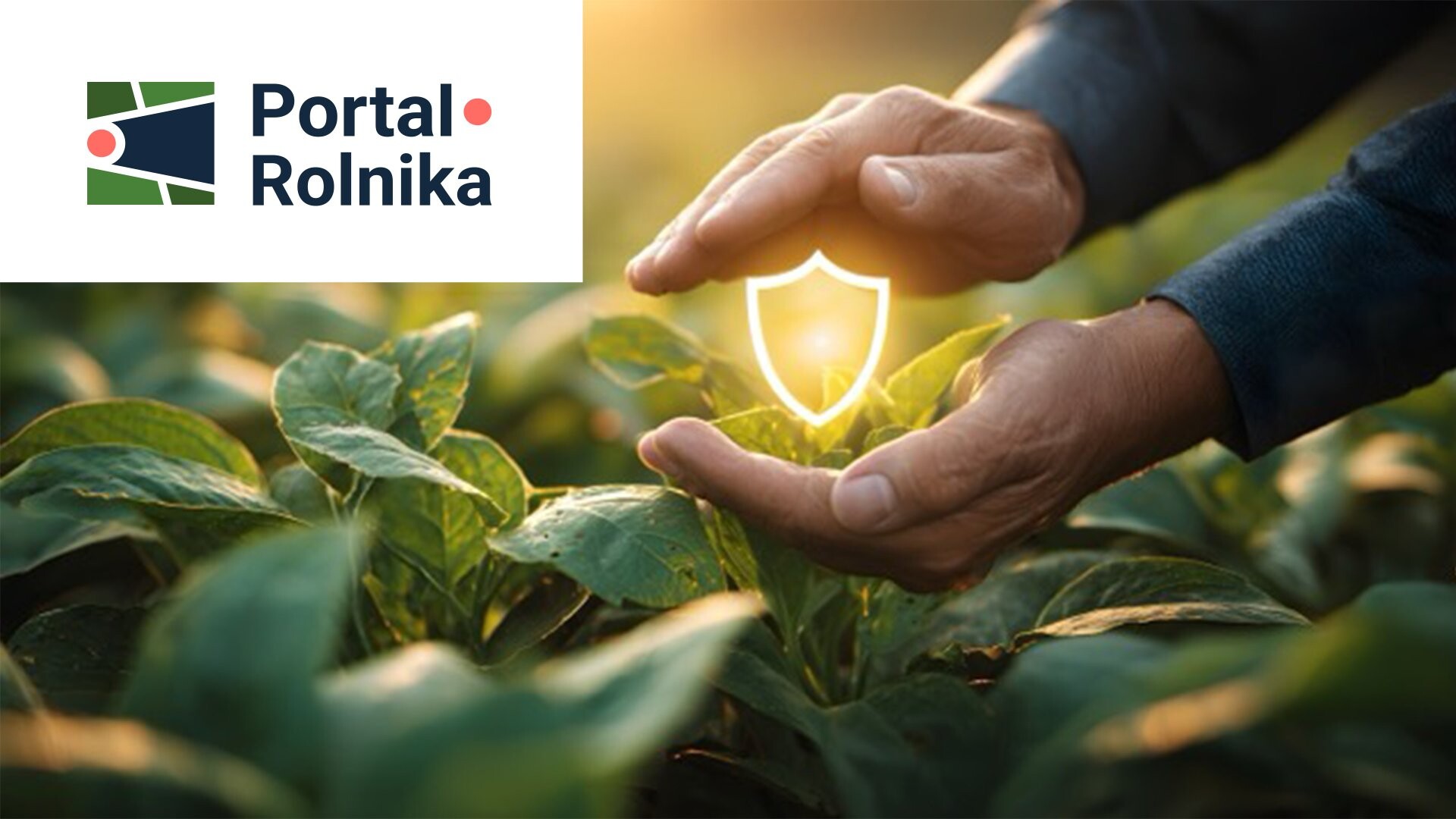 Portal Rolnika — jedna platforma zamiast kilku systemów