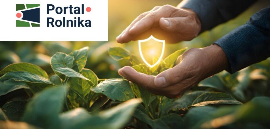 Portal Rolnika — jedna platforma zamiast kilku systemów