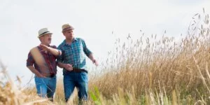 Rewolucja w zasadach dzierżawy ziemi z KOWR. Ci się zmieni?