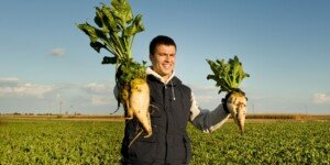 Rolnicy dokładają do uprawy buraka. Branża już traci 2 mld euro, a import cukru może jeszcze wzrosnąć