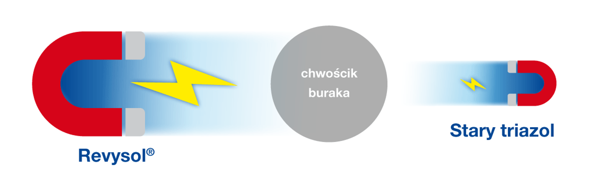 Jak skutecznie zwalczać chwościka buraka z&nbsp;Belanty?