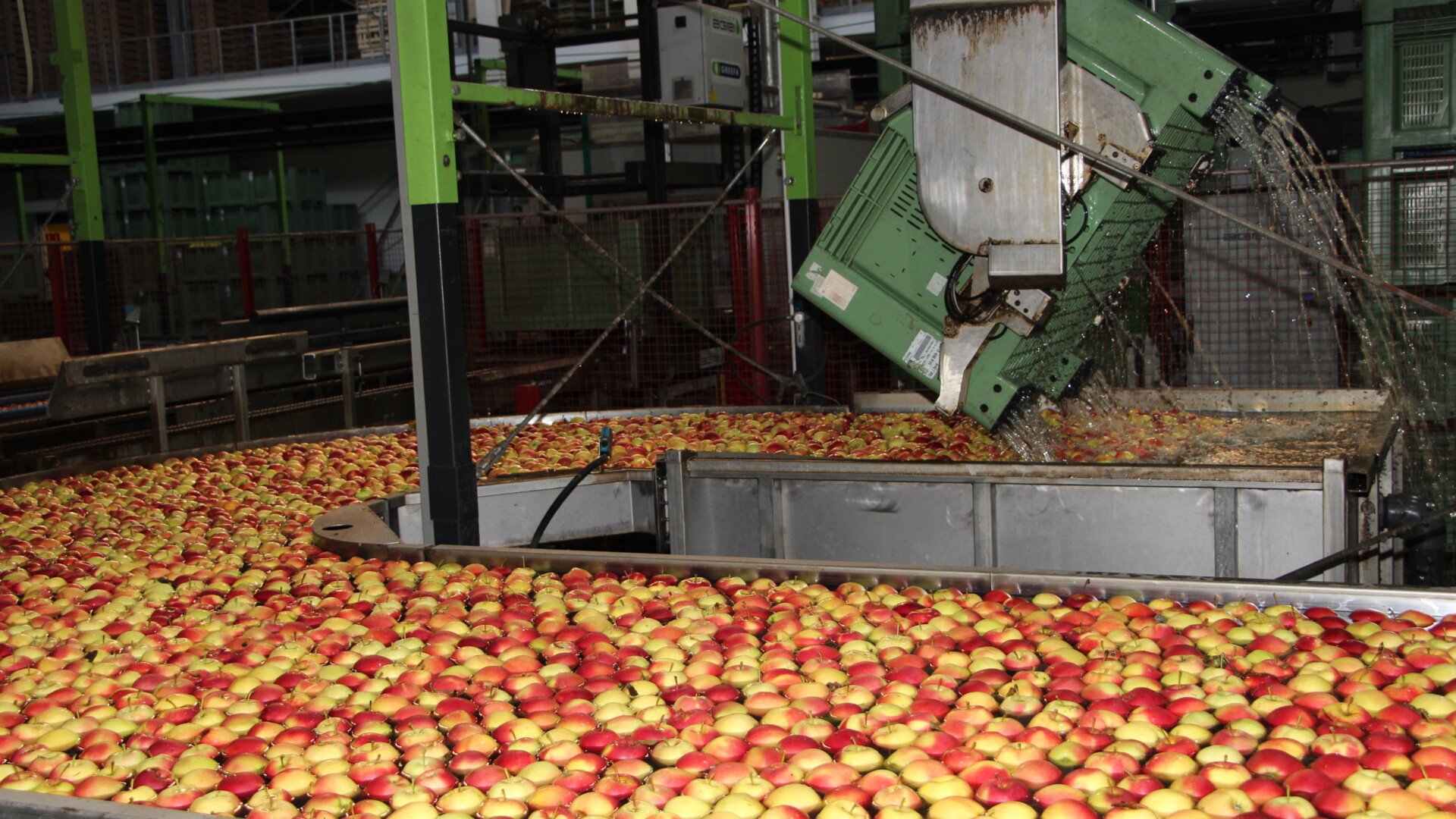 ARiMR otwiera nabór. Na producentów owoców i warzyw czekają pieniądze