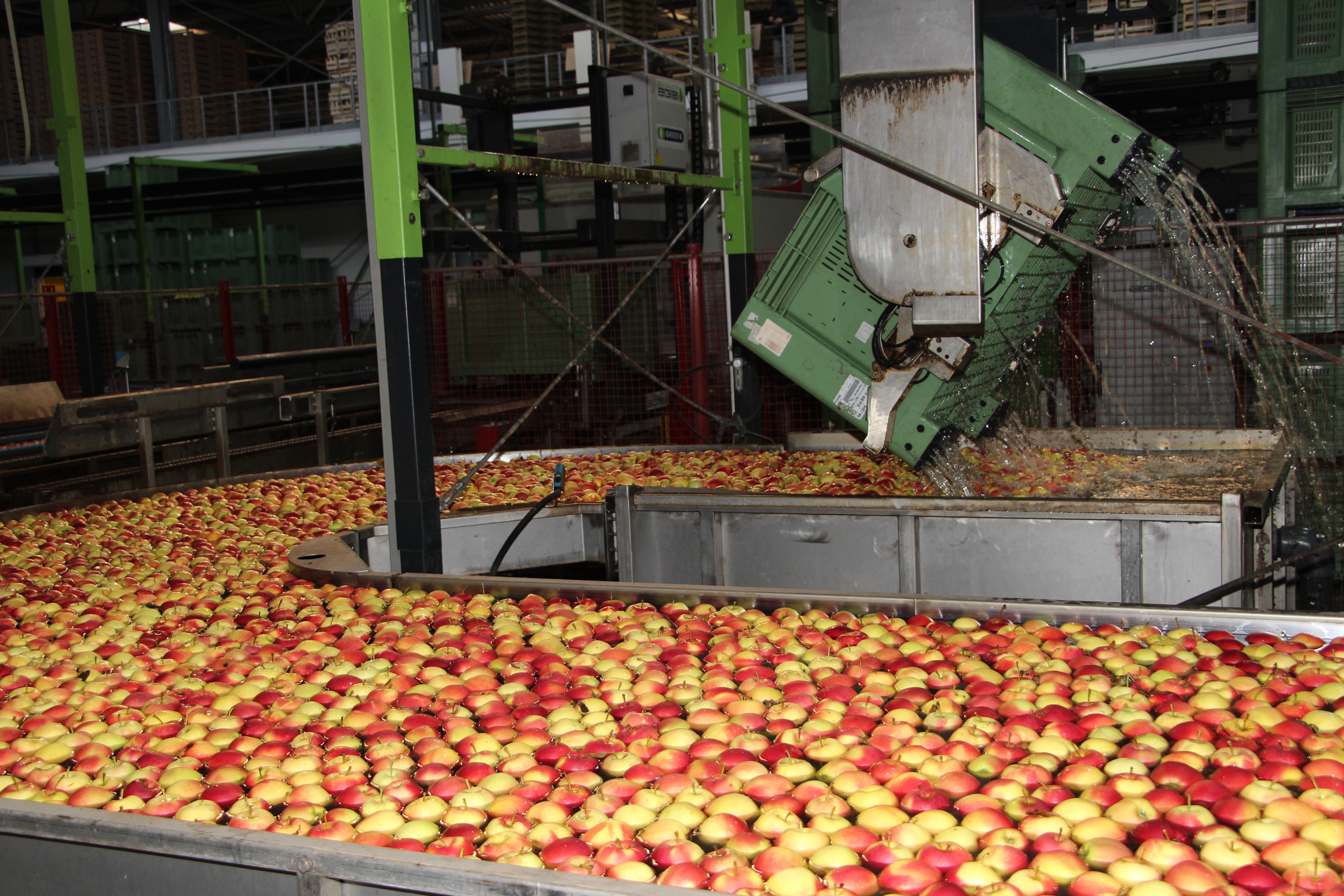 ARiMR otwiera nabór. Na producentów owoców i warzyw czekają pieniądze