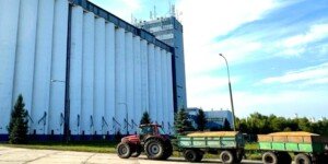 Małe żniwa 2026 fatalnie rozpoczęte. Jakie są ceny jęczmienia?