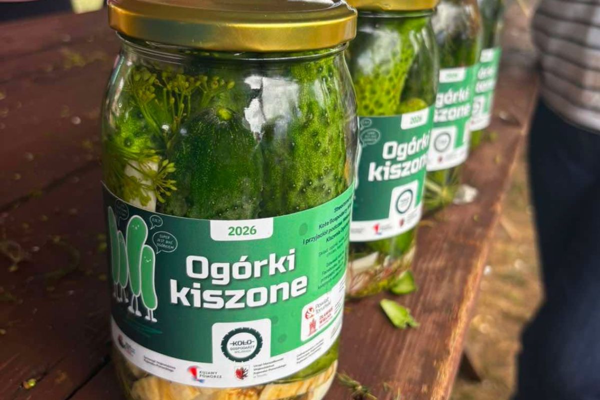 Kiszenie ogórków