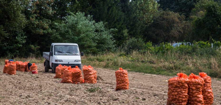 Rolniczy handel detaliczny: co rolnik może sprzedać z gospodarstwa?