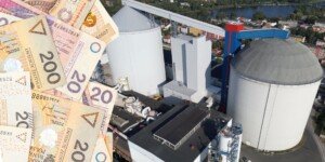 Ceny buraków spadają. KGS i Nordzucker planują cięcie stawek