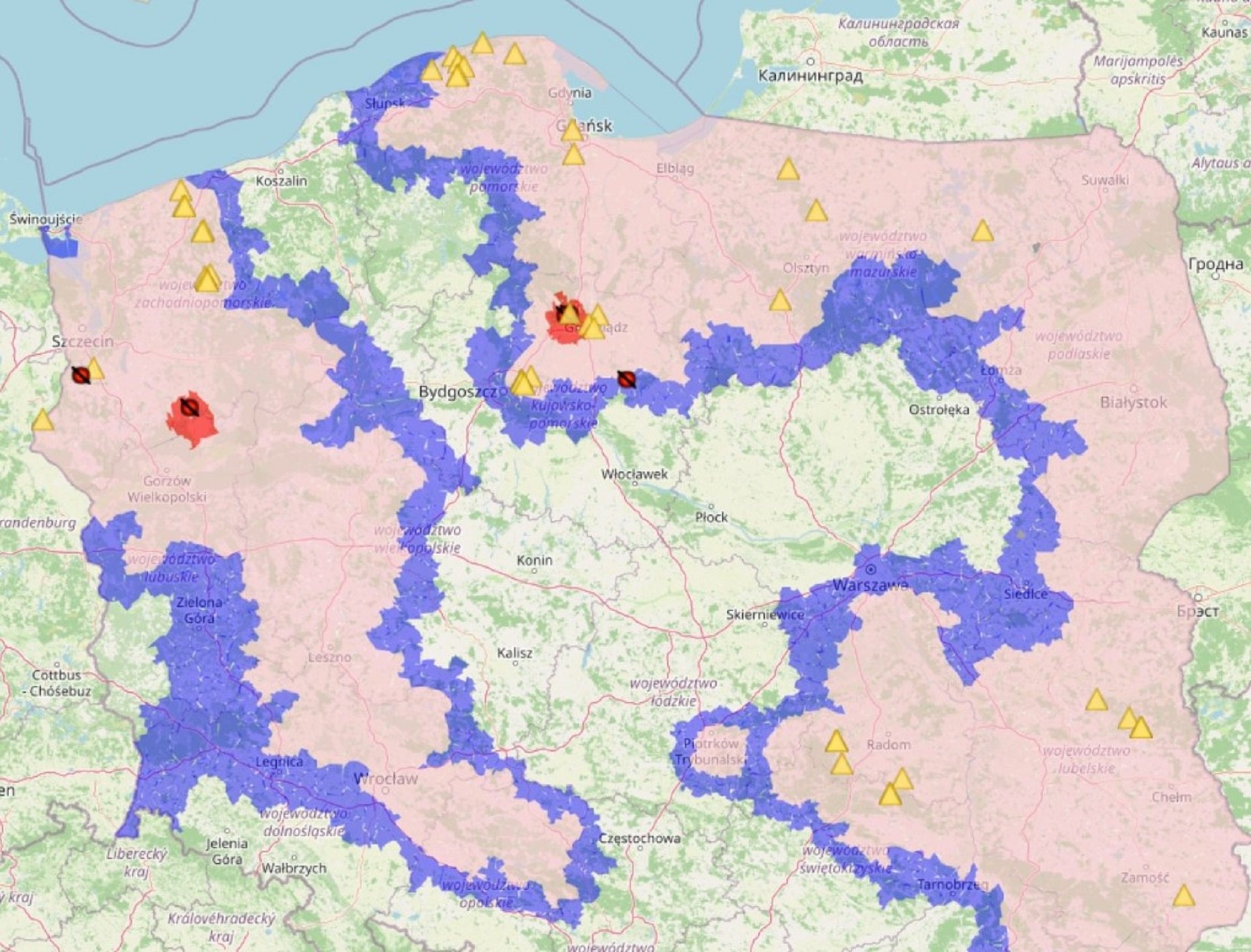 Nowe ogniska ASF w Polsce