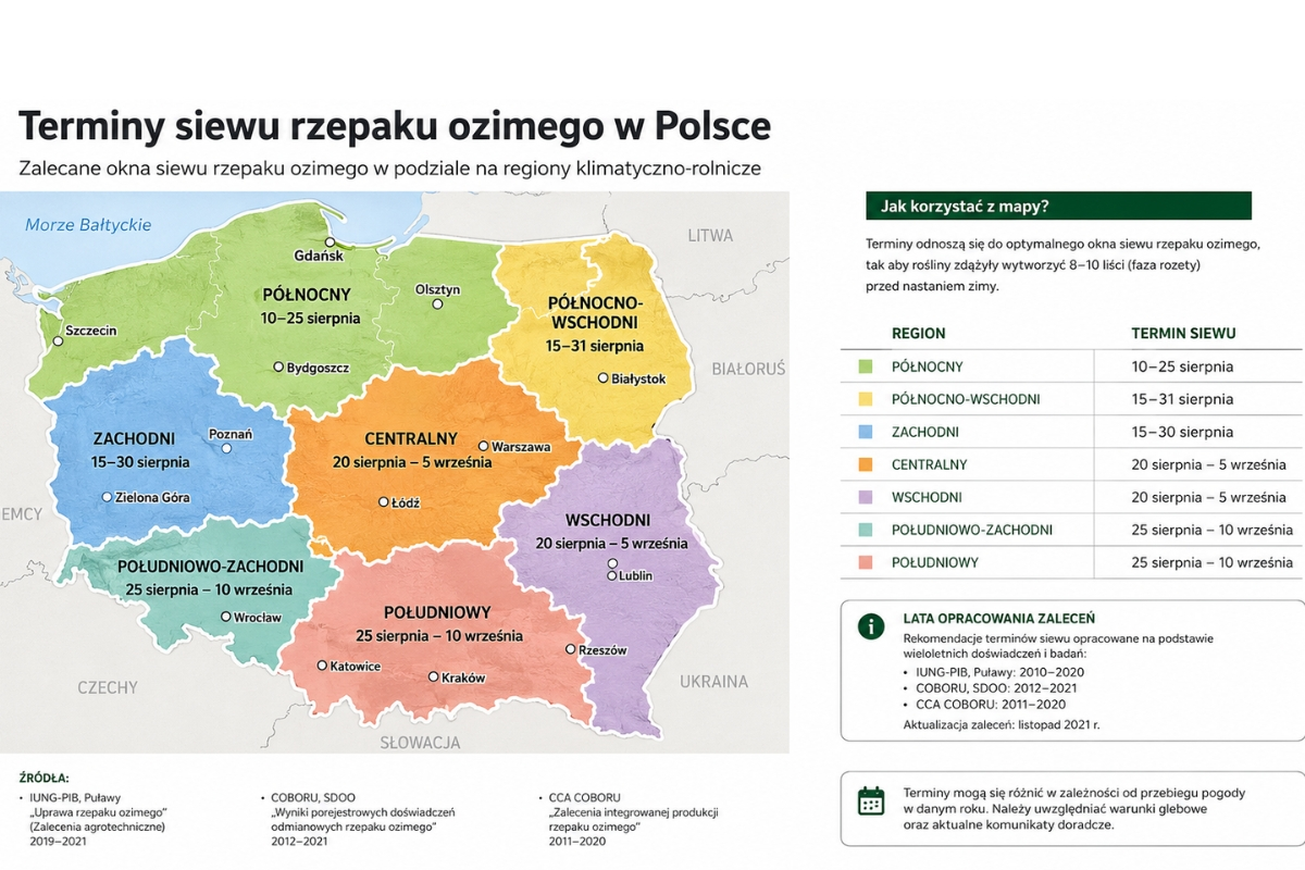 Kiedy siać rzepak