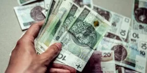 Nowe rodzaje pomocy finansowej dla rolników