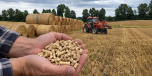 Agropelet z normami jakości
