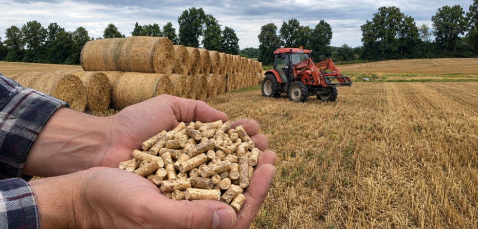 Agropelet z normami jakości