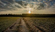 Od 1 grudnia 2026 r. ARiMR rozpocznie wypłatę płatności końcowych za tegoroczną kampanię dopłat bezpośrednich i obszarowych