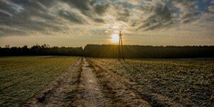 Od 1 grudnia 2026 r. ARiMR rozpocznie wypłatę płatności końcowych za tegoroczną kampanię dopłat bezpośrednich i obszarowych