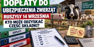 Dopłaty do ubezpieczenia zwierząt gospodarskich – dokument polisy, wnioski i zwierzęta w gospodarstwie.