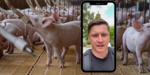 „Czym prędzej sprzedawajcie chlewnie”. To nie jedyne gorzkie słowa po spotkaniu w MRiRW